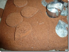 P1070935