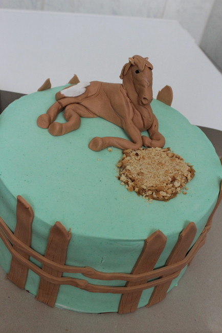 gateau-anniversaire-9223-001.JPG